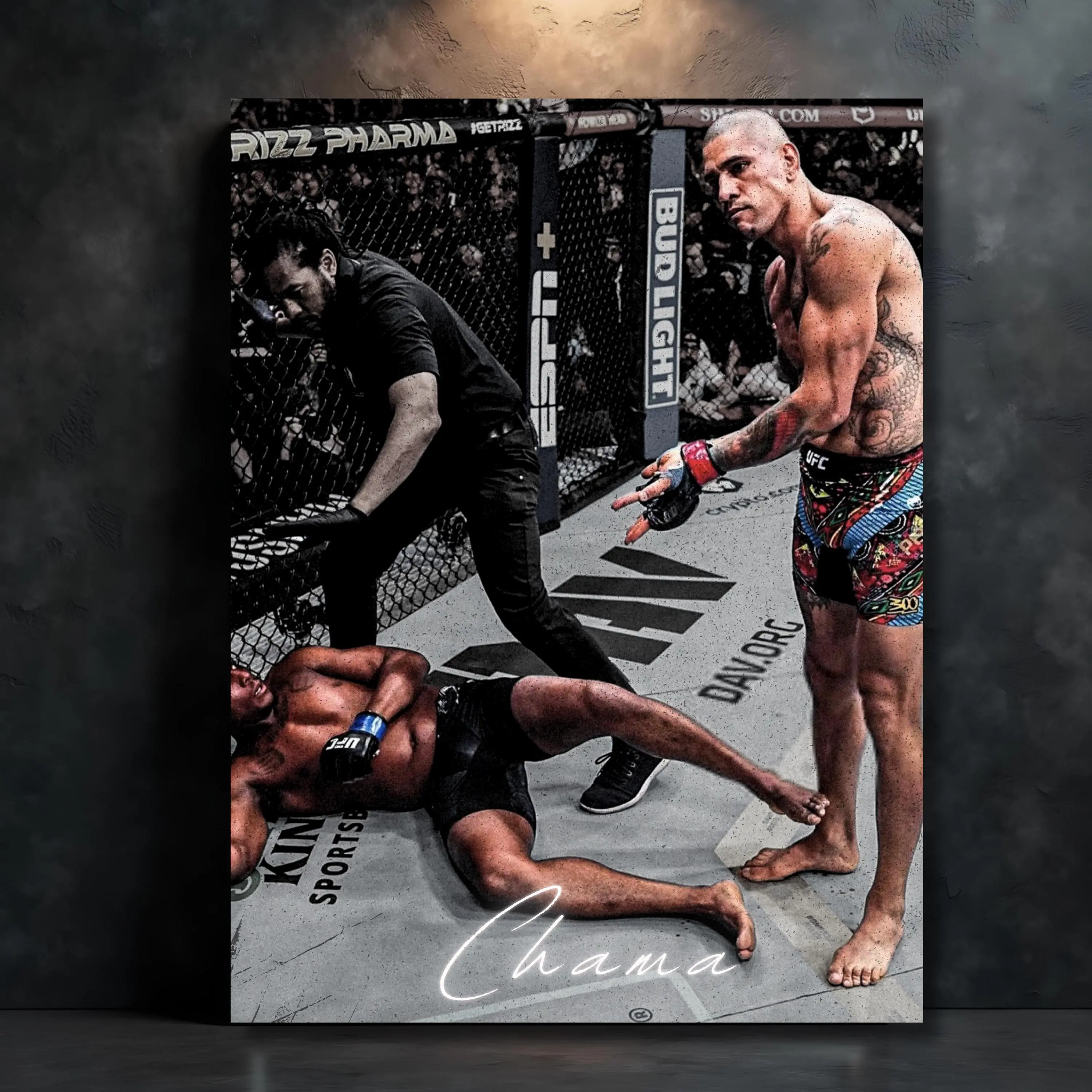 Alex Pereira Knockout Poster, Man Cave Wall Decor, UFC Gift for Men, MMA Fight Fan, Chama Brazil, Rolled Posters, Wall Art, Man Cave Gift