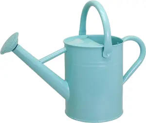 Metal Watering Can for Outdoor , 1 Gallon Galvanized Steel Watering Can with Removable spout for Outdoor & Indoor Use,  for Garden Flower, Houseplants, Mint