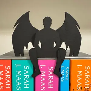 ACOTAR - Azriel shelf sitter