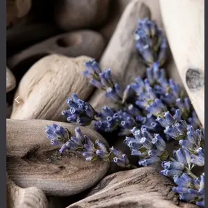 Lavender Driftwood Candle by wax N Wix Candlese