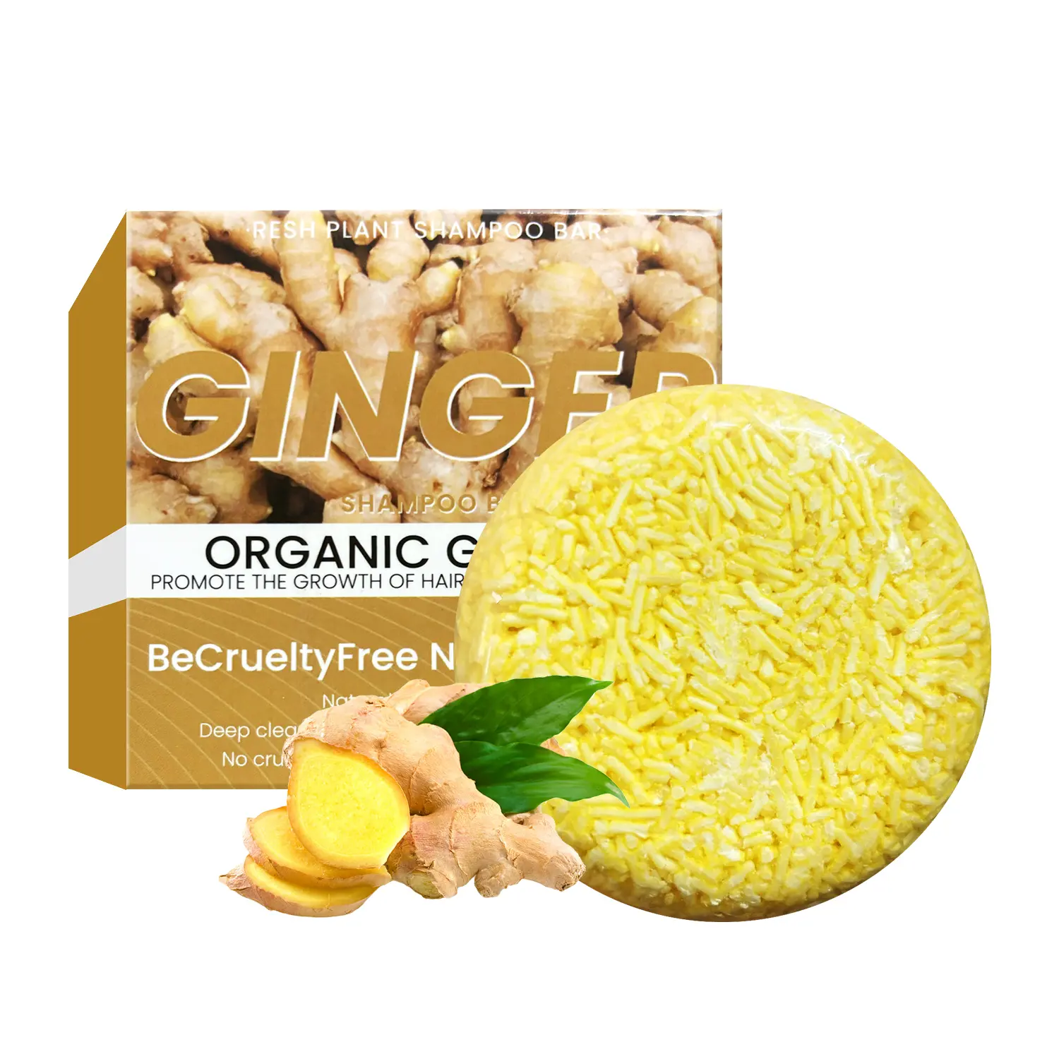GINGER SHAMPOO - Organic Ginger Shampoo for Deep Cleansing, No Chlorine, Be CrueltyFree N Turmeric