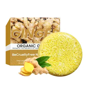 GINGER SHAMPOO - Organic Ginger Shampoo for Deep Cleansing, No Chlorine, Be CrueltyFree N Turmeric