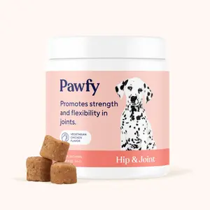 Hip & Joint Chews for Dogs - Natural Joint Pain Relief and Mobility Support