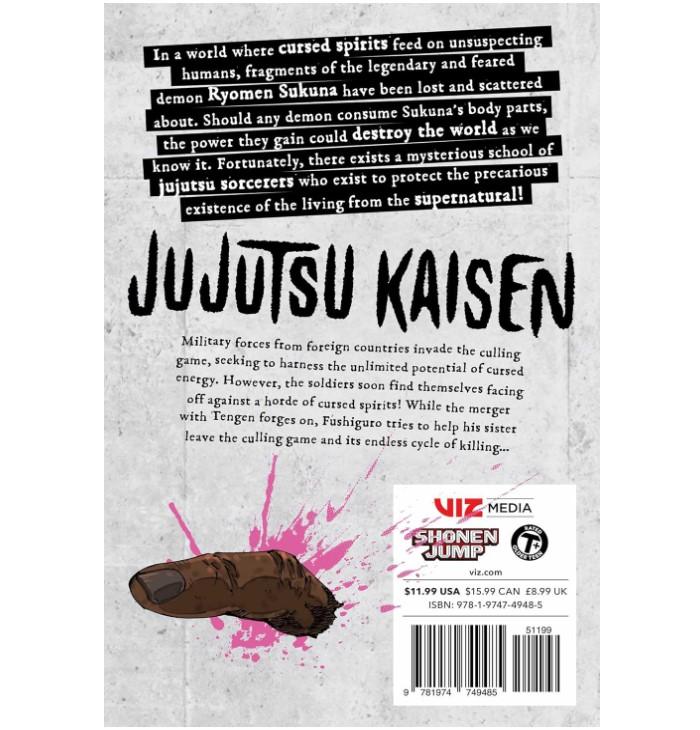 Jujutsu Kaisen, Vol. 24 Paperback – December 10, 2024