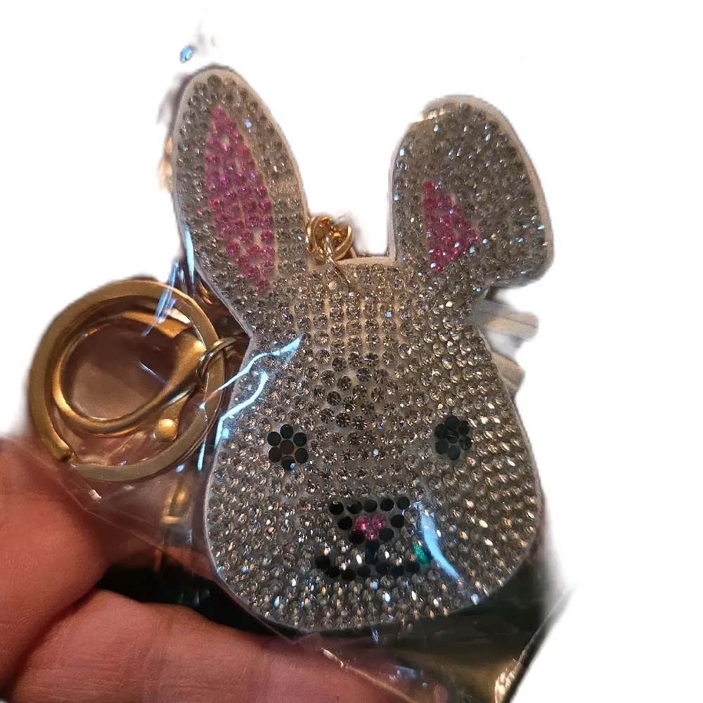 Bag Tag/ keychains
