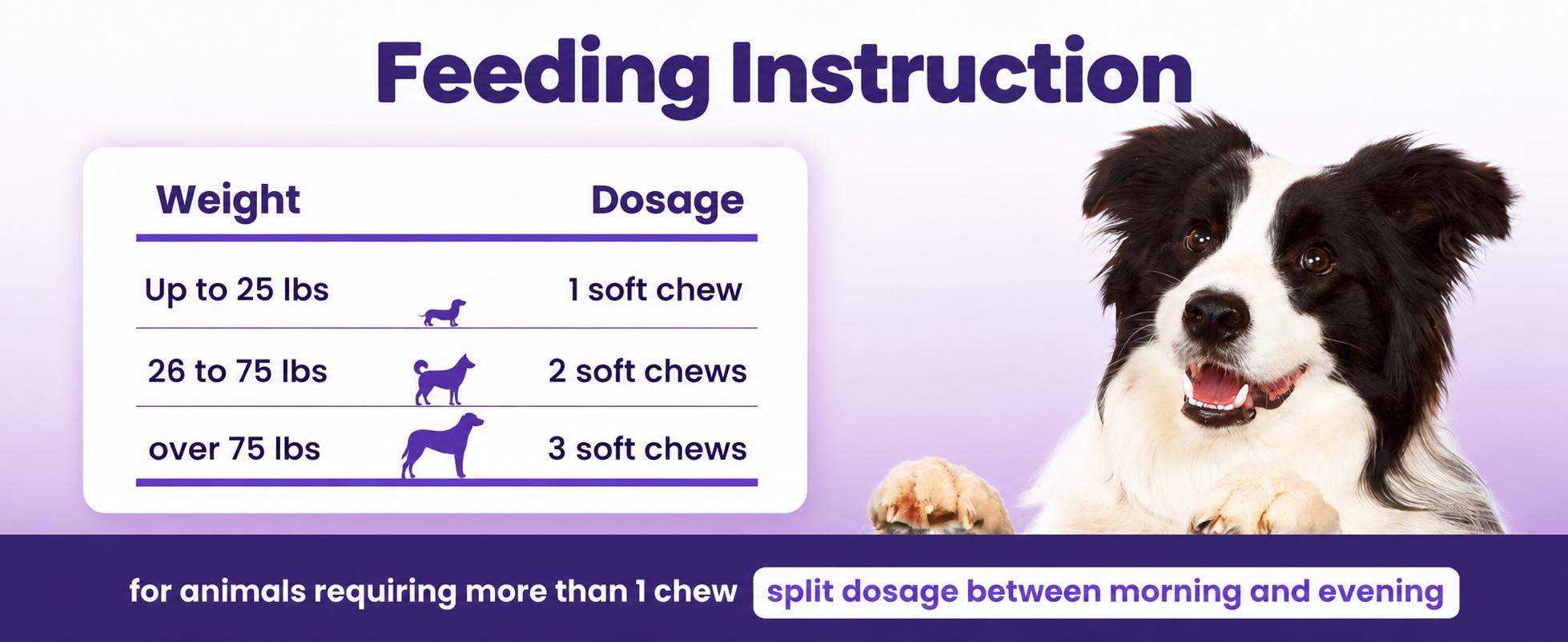 180ct Probiotics for Dogs – Probiotic and Prebiotic Soft Chews for Digestion, Gut Balance, Stool Quality & Immune Support, 4-Strain Blend with FOS, GOS & Organic Inulin, Chicken Flavor 180ct Probiotics for Dogs – Probiotic and Prebiotic Soft Chews for Digestion, Gut Balance, Stool Quality & Immune Support, 4-Strain Blend with FOS, GOS & Organic Inulin, Chicken Flavor