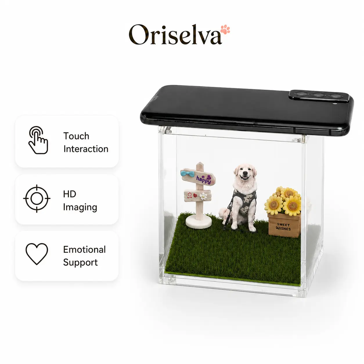Personalized Pet Memorial Photo Display Box, Custom Sympathy Keepsake for Dog Cat Loss, Home Decor Remembrance Gift, Memorial Gift