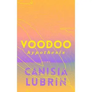 USED-Voodoo Hypothesis by Lubrin, Canisia (Paperback)