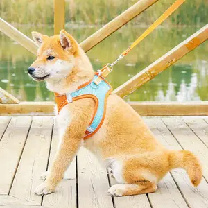 Breathable Cat Dog Harness Vest Summer Nylon Pet Leash with Reflective Design for Safe Walking