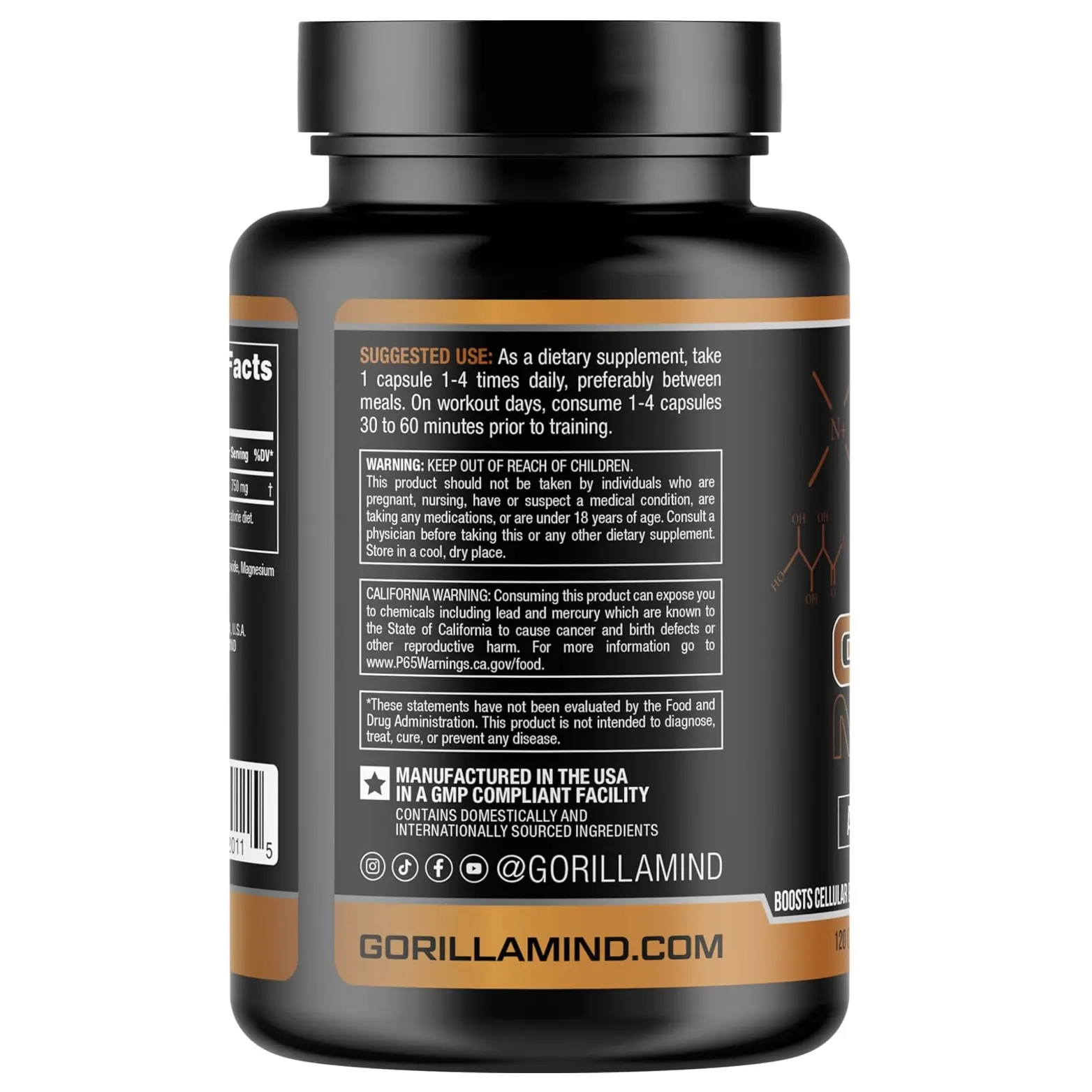 gorilla mode l carnitine Gorilla Mode AR - L-Carnitine L-Tartrate Supplement (120 Capsules) gorilla mode l carnitine Gorilla Mode AR - L-Carnitine L-Tartrate Supplement (120 Capsules)