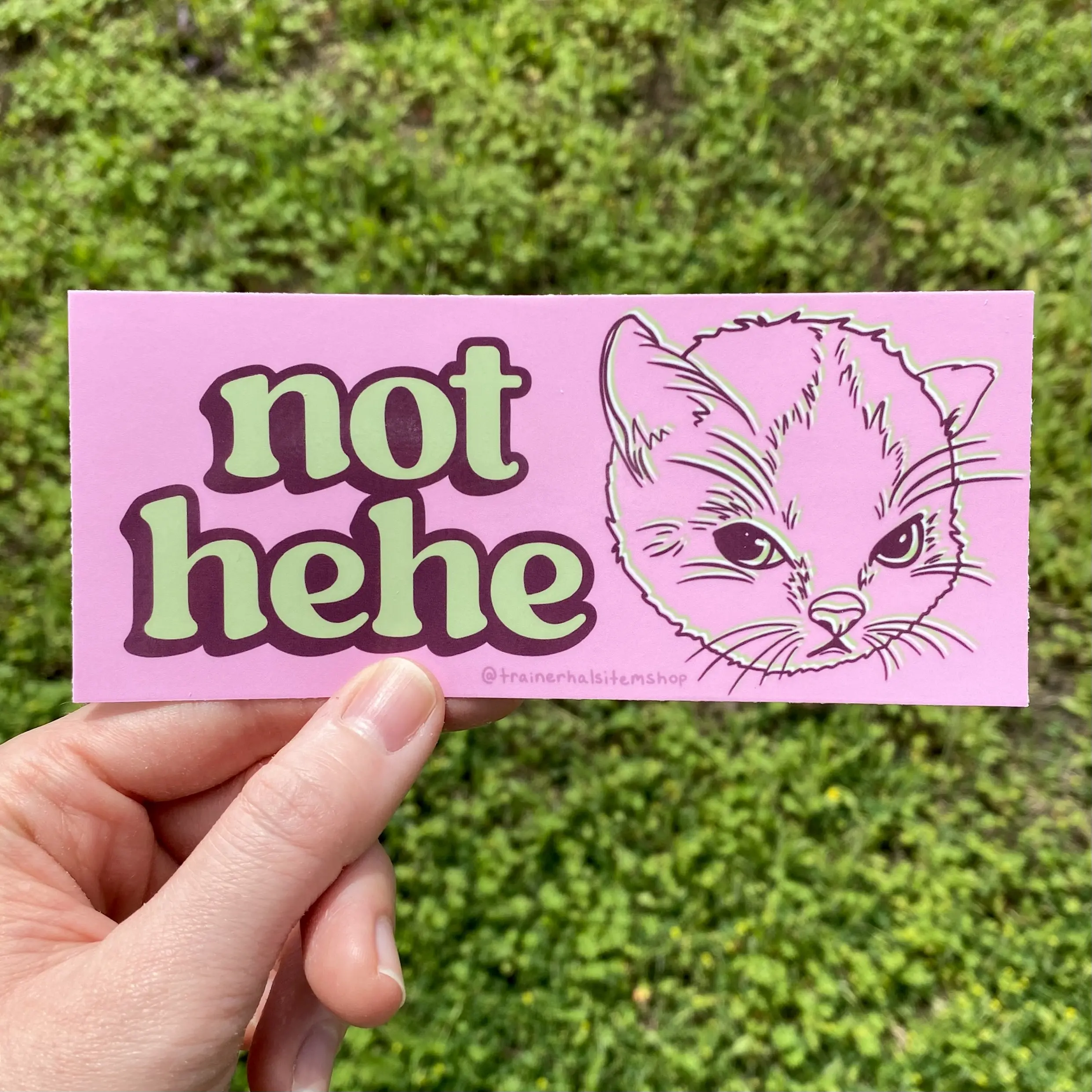 Hehe Cat Meme Bumper Sticker | Grumpy Kitten Pink Y2K Car Decal