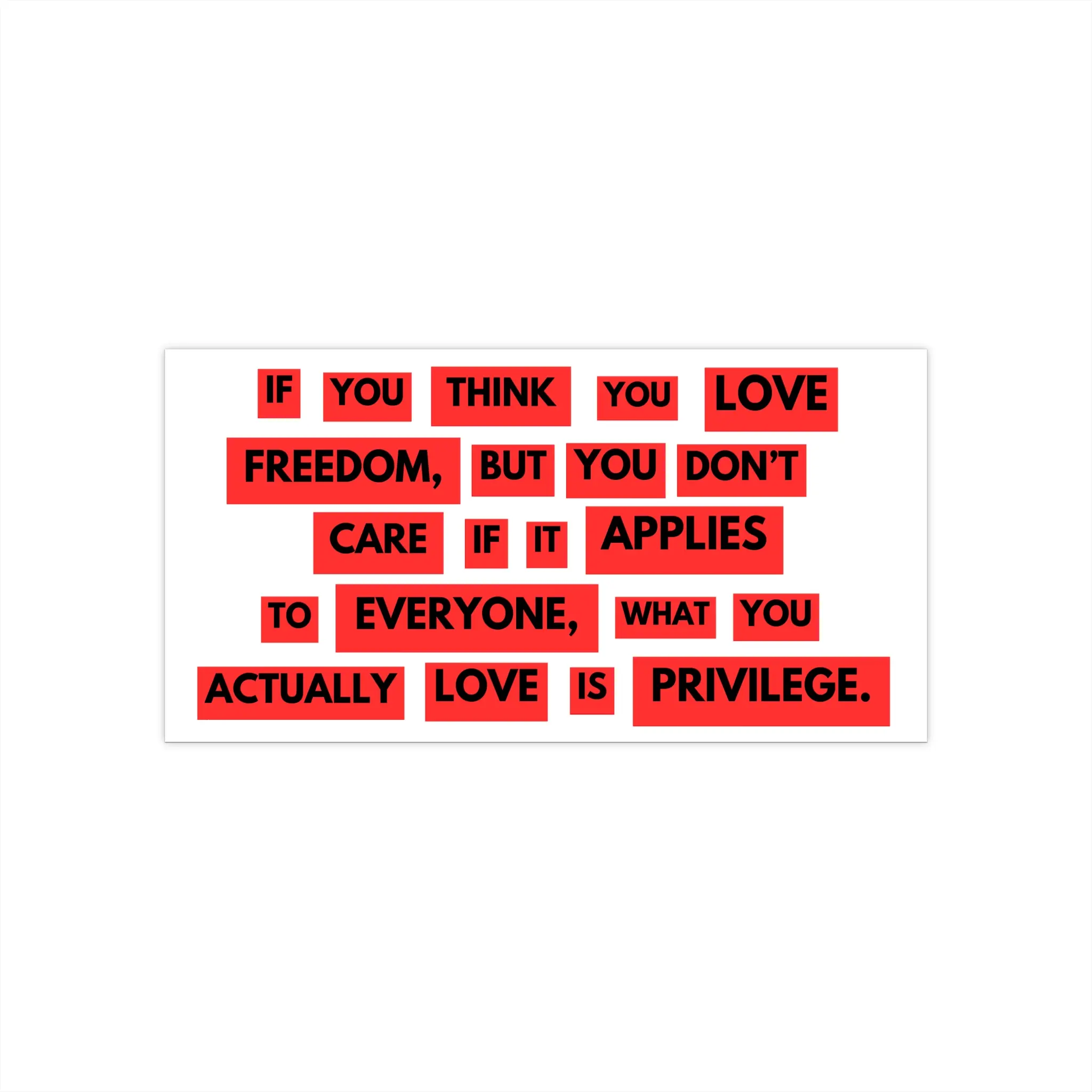 Privilege Bumper Sticker, Political Sticker, Equality Activist Gift, Social Justice Decal, Liberal Notebook Decal, Progressive Laptop