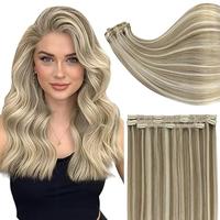 #8/60Brown And Blonde Highlight