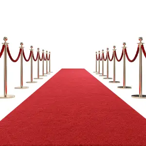 450 GSM Extra Thick 3x10 ft Red Carpet Runner for Partys & Events, Heavy-Duty Felt Aisle Runway Rug for Steps, Prom Proposal & Wedding Ceremony Decorations, Hollywood Oscars for VIP Awards