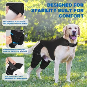 Dog Knee Support for Ripped Acl Rear Leg, 4 Metal Stabilizers, Strong Joint Support, Reduces Pain From Arthritis and Ligament Injuries, S-3xxl