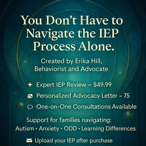 The IEP Authority: IEP review and comprehensive analysis