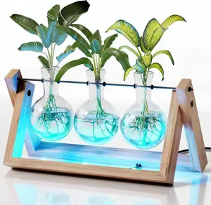 Plant Propagation Stations with Hidden Multicolor LED Lights