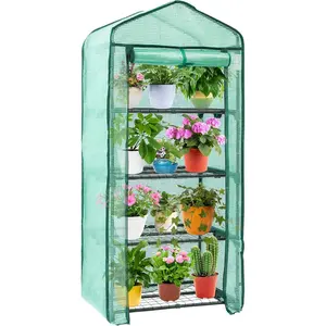 Outvita Mini Greenhouse for Indoor Outdoor, Small Plastic Plant Green House 4-Tier Rack Stand Portable Greenhouses with Durable PE Cover for Seedling, 2.5x1.6x5.2 FT, Ideal Gardening Gifts for Women Men