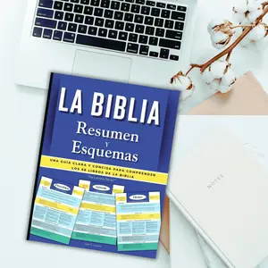 La Biblia Resumen y Esquemas ESPAÑOL Guía Clara de los 66 Libros Ideal for Study Personal Devocionales Groups and New Christians