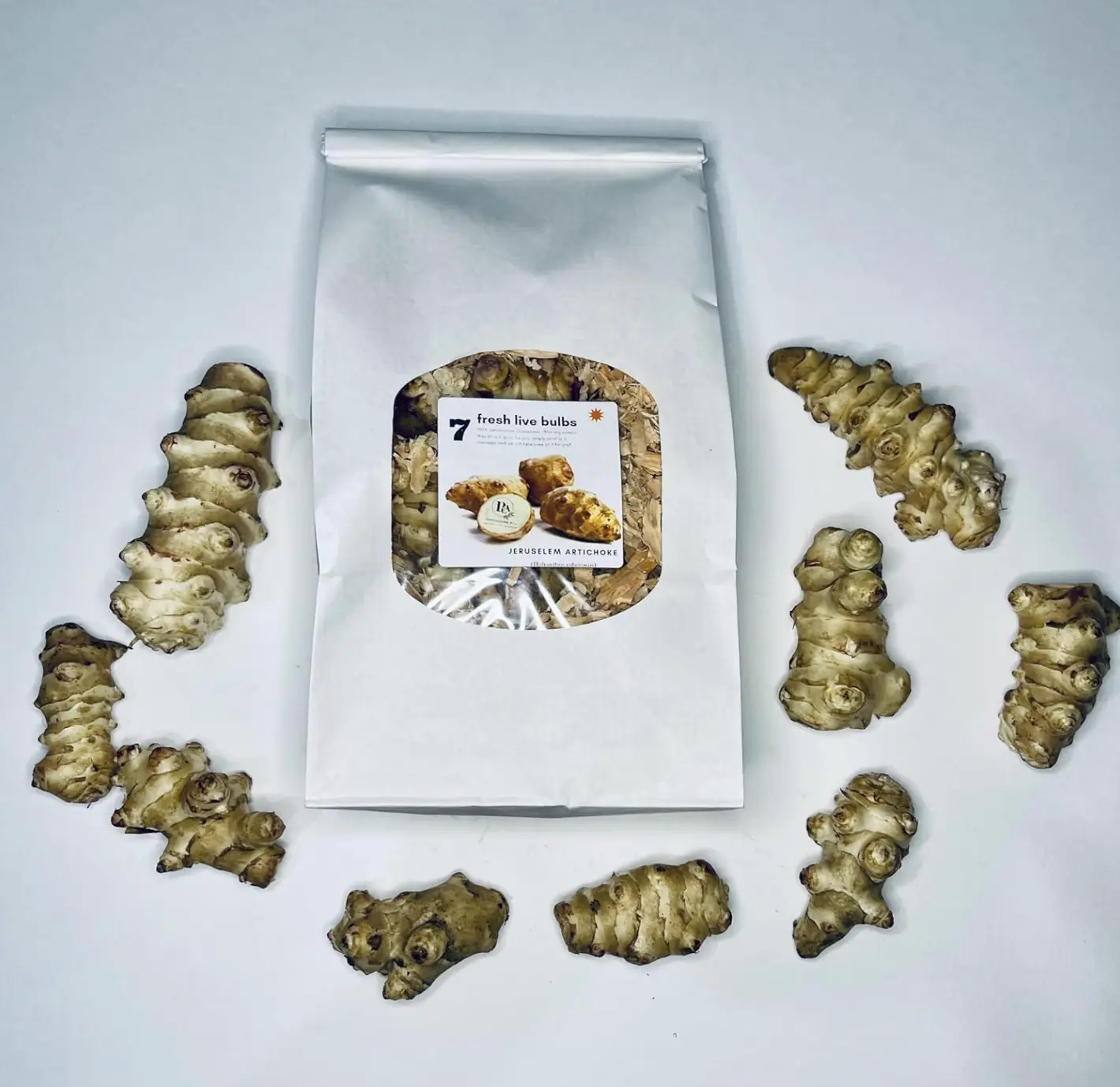 7 Fresh Sunchoke Bulbs for Planting by Greenhouse PCA