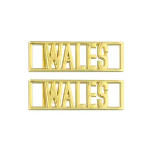 Wales Dubraes custom shoelace tags for all shoes provided by Dubraes