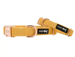 SASSY WOOF Sunflower Fields Dog Collar