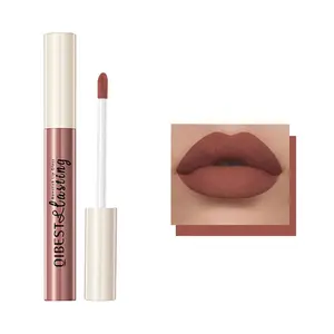 Matte Finish Lip Gloss, 1 Count Long-lasting Lip Glaze Stick, Smudge-Proof Non-Stick Lip Lip Stain for Daily Use, Hydrating Cosmetic Gift