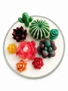 Succulent Terrarium
