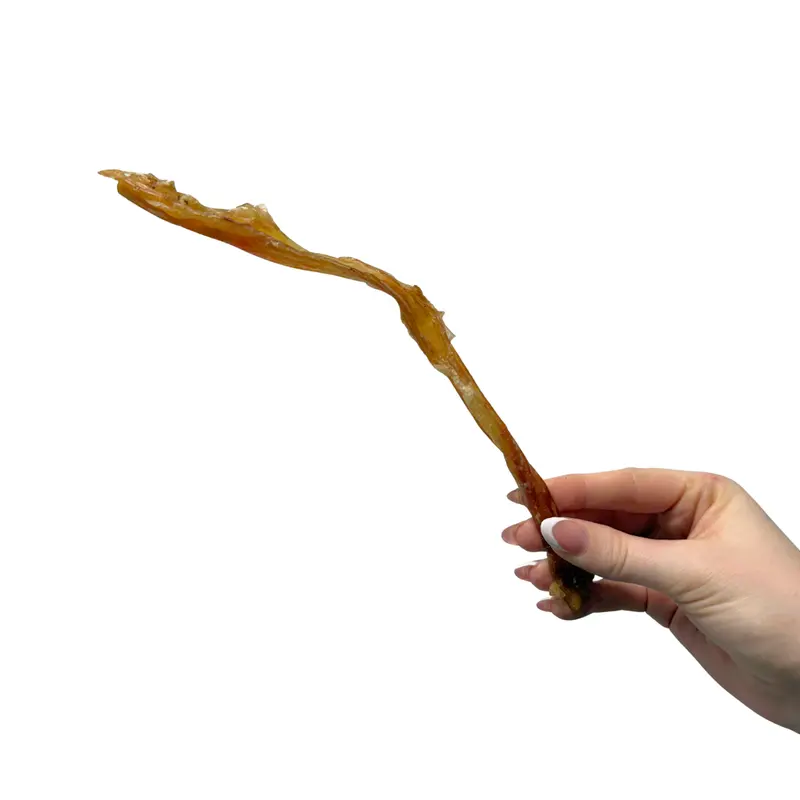 beef tendons