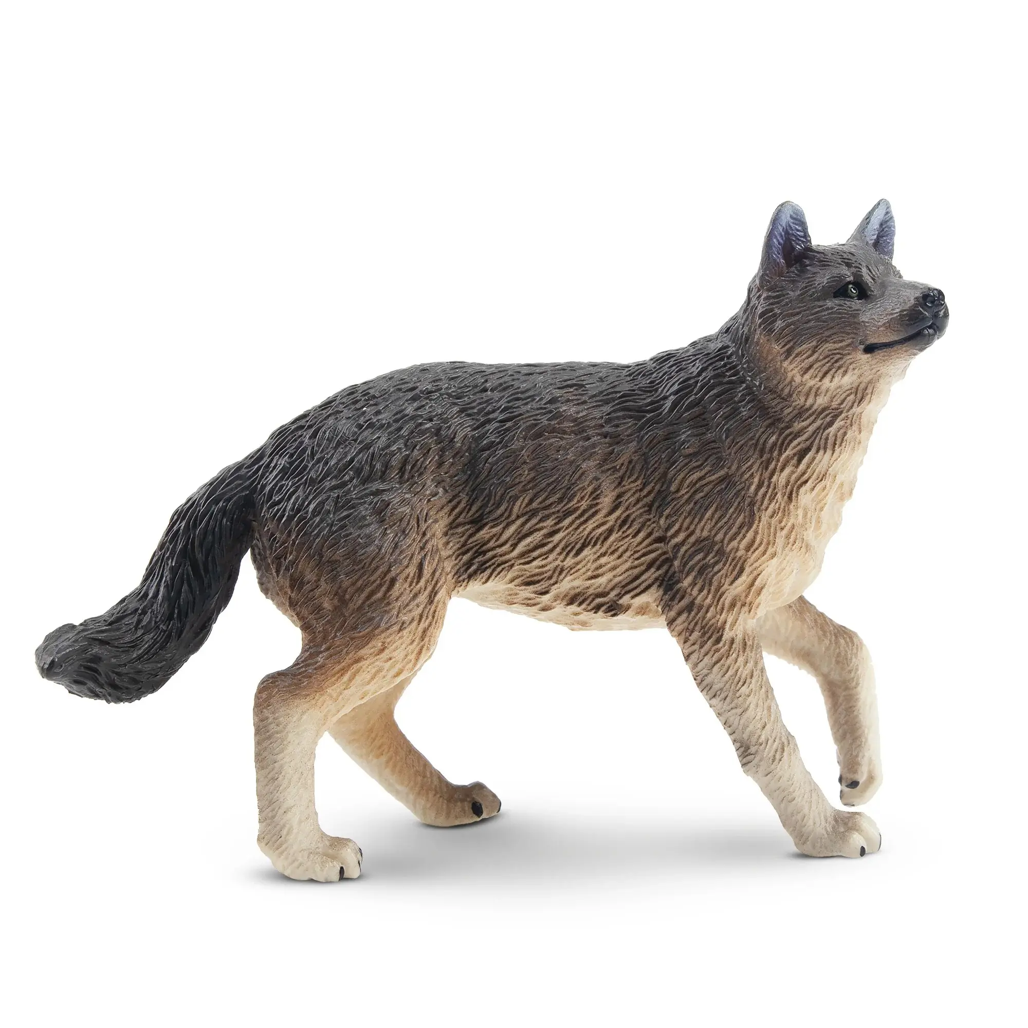 TOYMANY PVC Plastic Realistic Look Wolf Figurine - Hand-Painted Standing Wildlife Animal Model, Age 3+ Montessori Sensory Play Toy, Collectible Gift for Enthusiasts