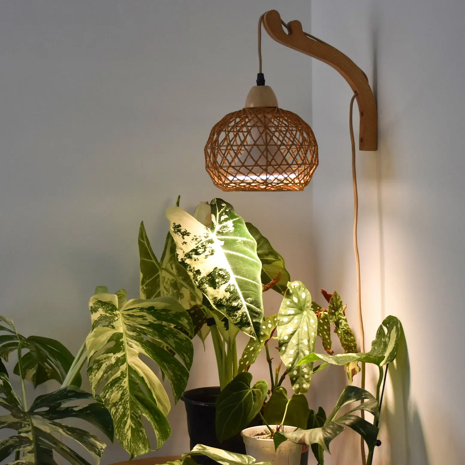 Bstrip Boho Rattan Wood Hanging Grow Light - 18W Full Spectrum, Wall Mount Cultivation Equipment, 9.8FT Cord, Adjustable Height, Grow Lights for Indoor Plants, Enhances Home Ambiance, Wall Mounted