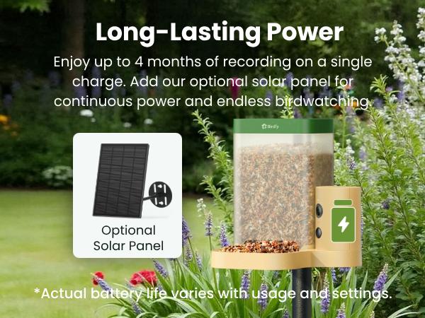 Birdfy Smart Bird Feeder with Camera for Rookie, Camera Bird Feeder Dual Night Vision, AI Recognition IP66 Waterproof for BirdLovers