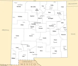 Map of New Mexico NM - County Map with selected Cities and Towns - Peel and Stick Wall Decal