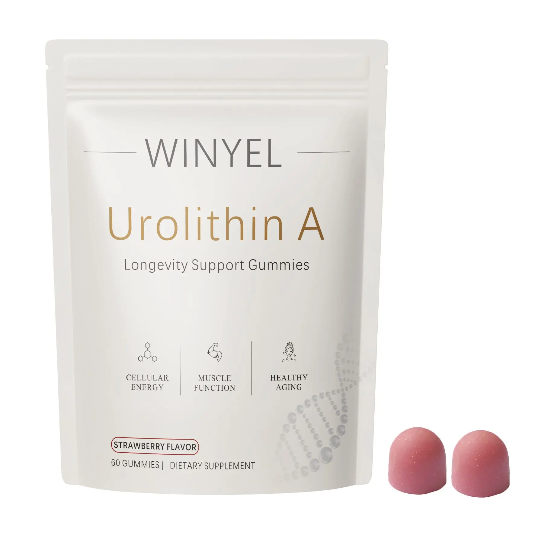 WINYEL Urolithin A Chewable Dietary Supplement Soft Chewables - Natural Nourishing Vitamins, Instant Energy Vitamins, Recovery Strength Support - Prop 65 Safe, 60 Pieces