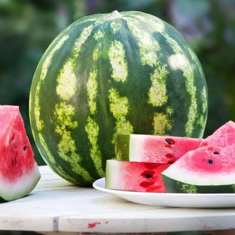 100 Crimson Sweet Watermelon Seeds – Grow Delicious Green-Skinned Fruits in Your Garden