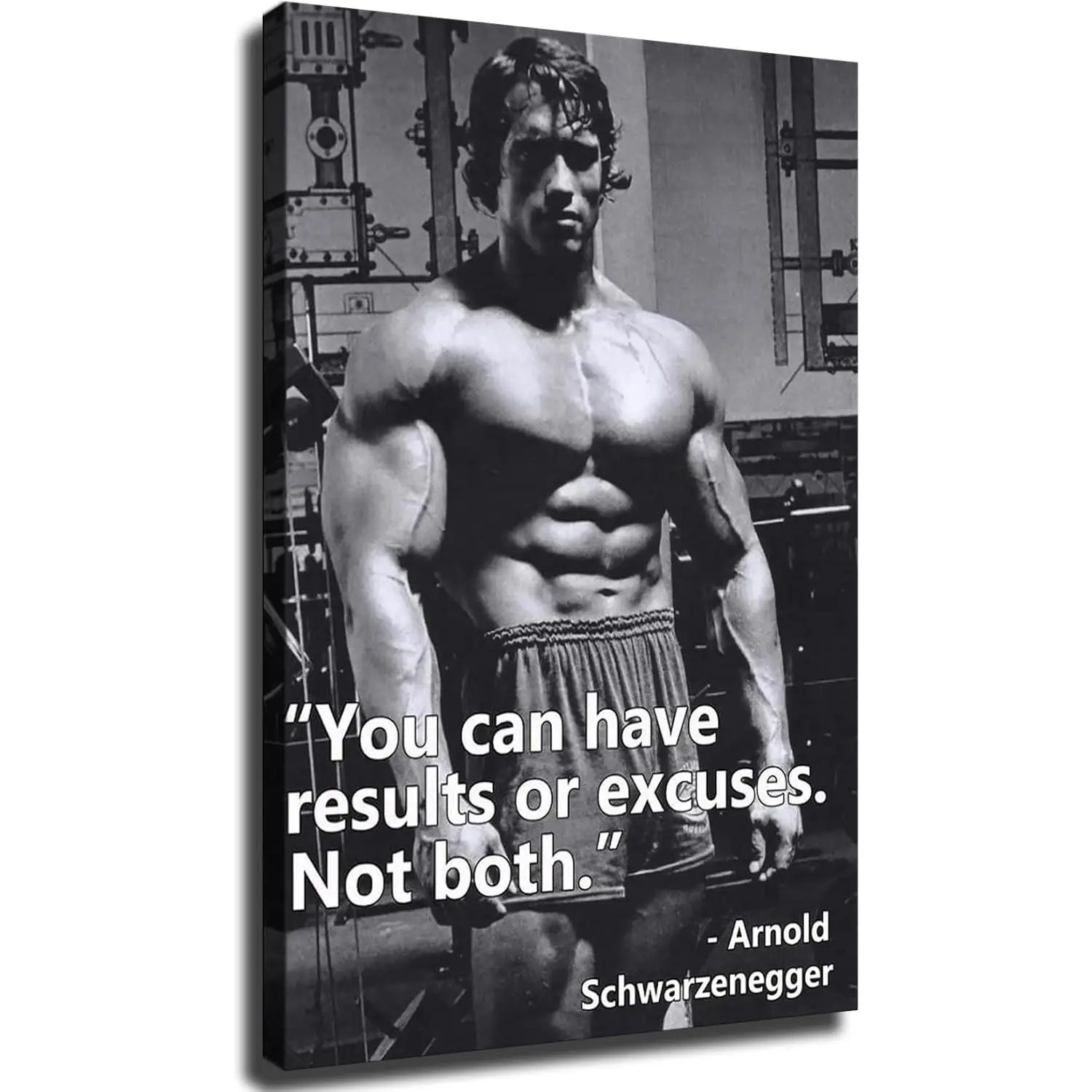 Arnold Schwarzenegger Themed Artistic Hi-Detail Wall Art Print - Artwork for Interior Decor, Indoor Living Room & Bedroom Home Decor Supplies Posters