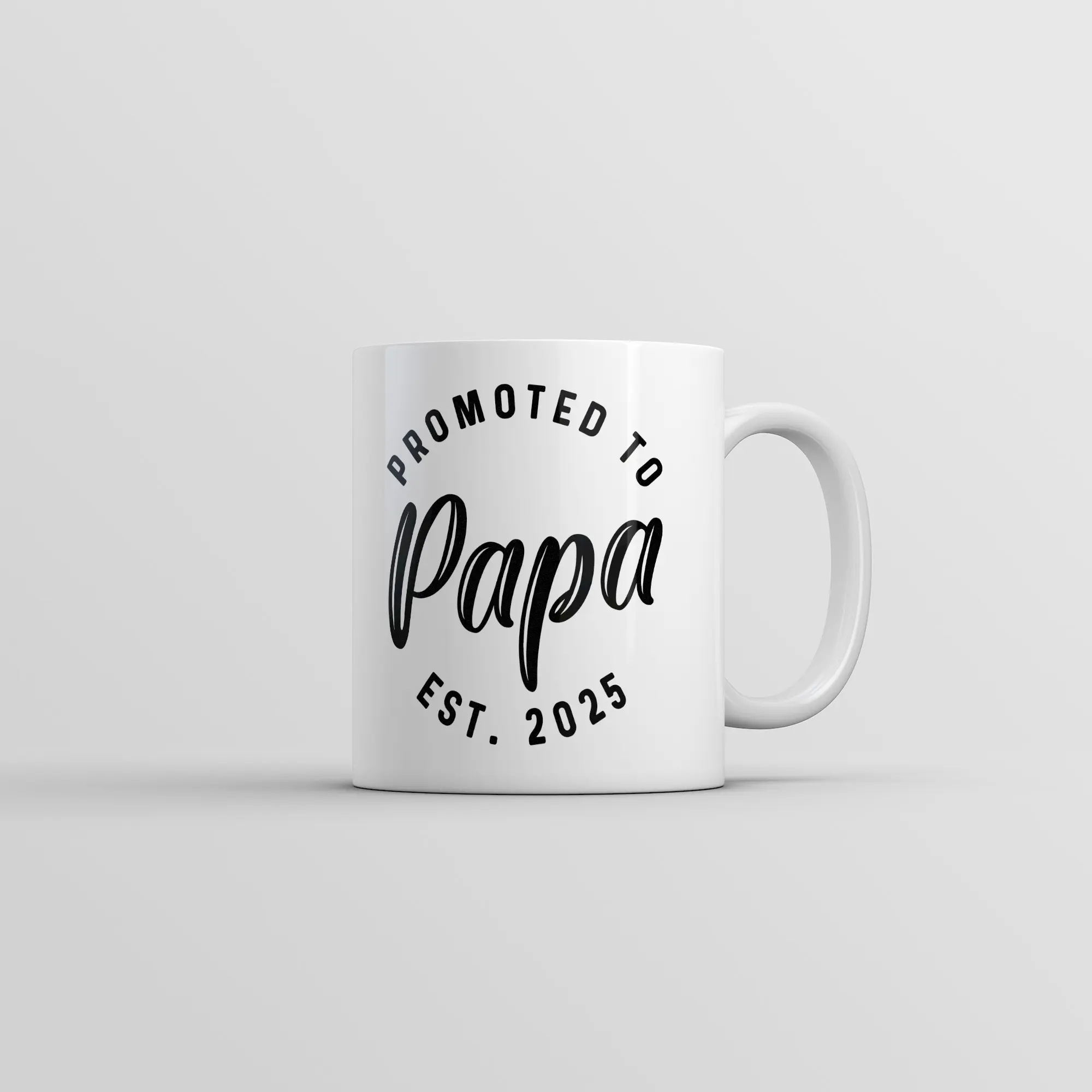 Promoted to Papa 2025 Mug Funny Sarcastic Family New Baby Graphic Novelty Coffee Cup - 11oz Funny Coffee Mugs Ceramic Printed Drinkware Cup