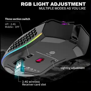Ergonomic Wireless RGB Gaming Mouse