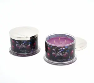 HomeWorx by Slatkin + Co. S/2 18oz Sugared Plum & Blackberry