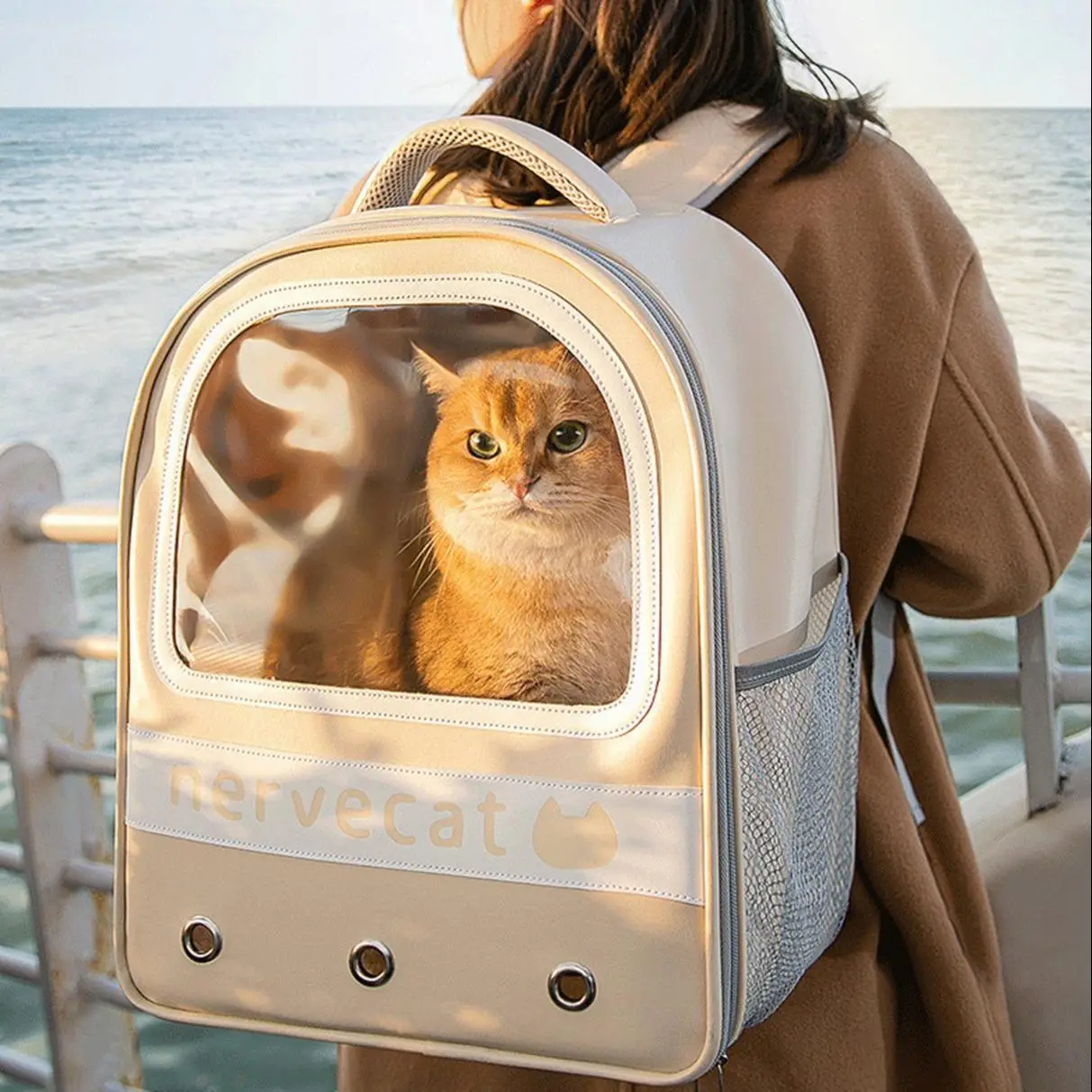 Letter Pattern Portable Transparent Carry Bag for Cat, Cat Backpack with Zipper, Breathable Travel Carry Backpack for Pet Cat, Cat Bag