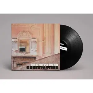 The National - Cherry Tree (2021 Remaster) NEW Vinyl Record 191400031418