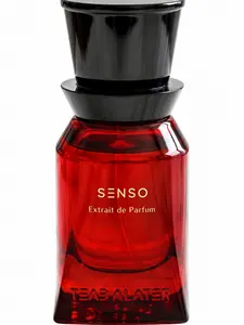 TEABALATER SENSO Extrait de Parfum 35ml - Warm Patchouli & Vanilla Fragrance for Day or Night - Niche Haute Parfumerie Crafted in Italy