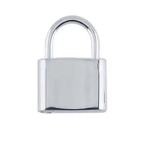 Clasp, Padlock (Small)