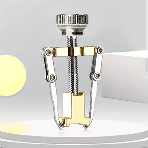 Ingrown Toenail Lifter, Metal Ingrown Toenail Corrector, Ingrown Toenail Tool Toe Clamp Stainless Steel Foot Care Tool for Men Women