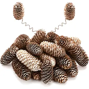 12 count Snow  Pine Cone Kit with Brown Iron Wires for DIY, 2.2"-3.5" Big Spruce Pine Cones, Rustic Pinecones Decor for Christmas Tree, Wreaths, Crafts, Fall, Wedding, Xmas  Decor