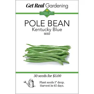 Bean - Kentucky Blue Pole Green Bean Seeds