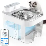 HAPAW Smart Cat Water Fountain - 3L Clean Water Tank, 1.35L Wastewater Tank, Clean & Wastewater Separation, Filter-Free, 2 Flow Modes, Cordless, App Control, 5000mAh, Dual Power Supply for Multi-Cat Homes, Busy Owners,familyfun