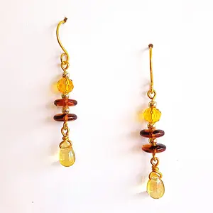 Gold with Earth Tone Discs Dangle Earrings
