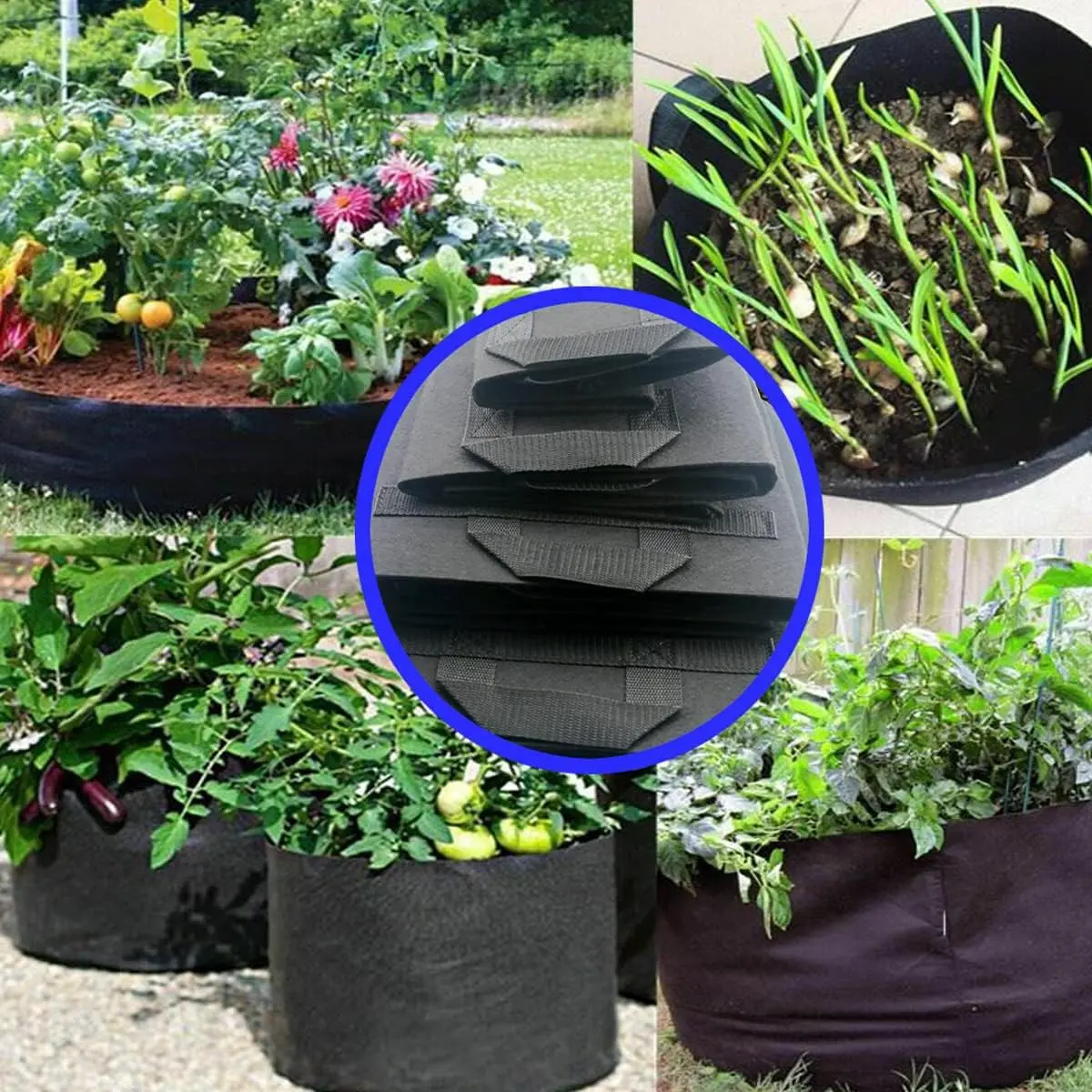24 Pack 3 Gallon Grow Bags,3 Gallon Pots for Plants,3 Gallon Fabric pots  for Healthy Plant Growth - Durable and Reusable Garden Bags to Grow  Vegetables,Fruits,and Flowers - TikTok Shop