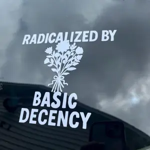 Radicalized By Basic Decency Decal, Kindness Vinyl Decal O